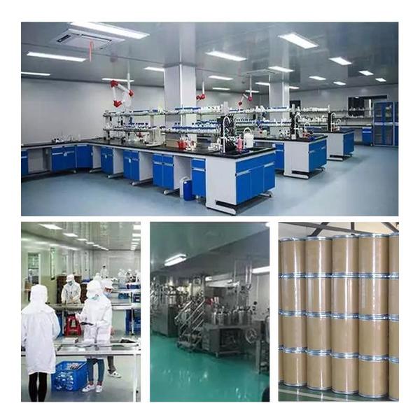 Chiny Shaanxi Baisifu Biological Engineering Co., Ltd. profil firmy