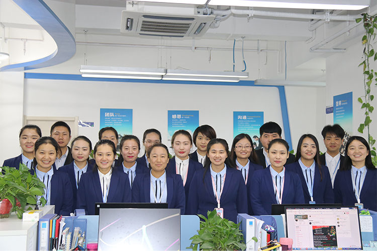 Chiny Shaanxi Baisifu Biological Engineering Co., Ltd. profil firmy