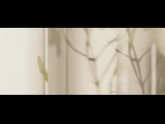 Olej eteryczny z drzewa herbacianego Olej lawendowy Olej miętowy Olej miętowy Olej kamfory Olej mózgowy z drzewa różowego Olej eteryczny Euca