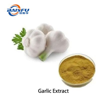 Standardized Garlic Powder Extract | Stable & Odor-Masked | Ideal for Nutraceutical and Feed Additive