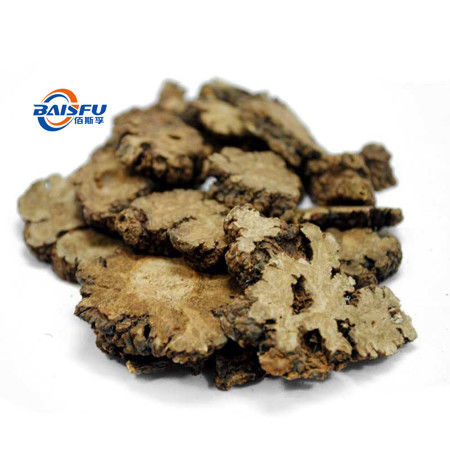 Baisfu plant brown powder Specification 98% Professionally Manufacture And Supply Rhizoma Chuanxiong Extract powder Ligusticum chuanxiong Hort for Cosmetics and health supplements