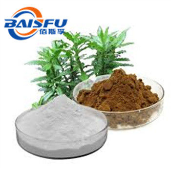 Shaanxi Baisfu plant extract White powder huperzia serrata extract CAS No.102518-79-6 huperzine A for Alzheimer therapy