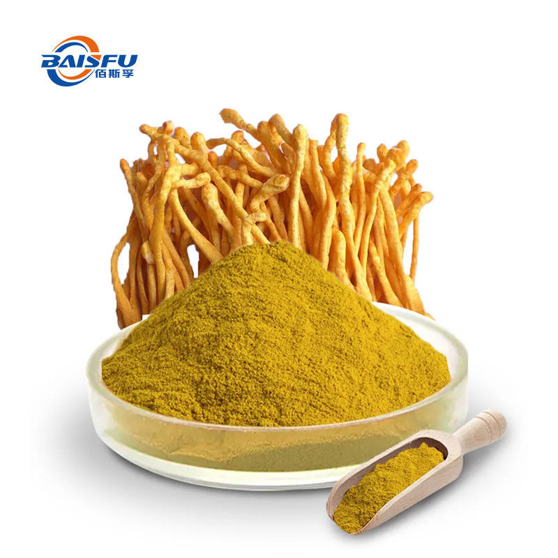 Baisfu Manufactory Wholesale Pure Brown yellow fine powder Top Quality Cordyceps Militaris Powder CAS No.: 73-03-0 for food additive and cosmetic