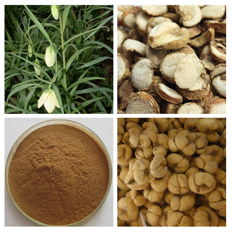 Baisfu plant extract Brown powder Thunberg Fritillary Bulb Pale brown powder for officinal