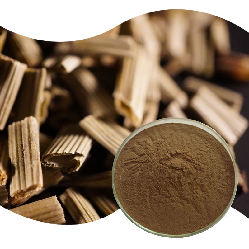 Baisfu natural Common Scouring Rush Herb Extract high quality brown yellow fine powder For medicine and Health supplements
