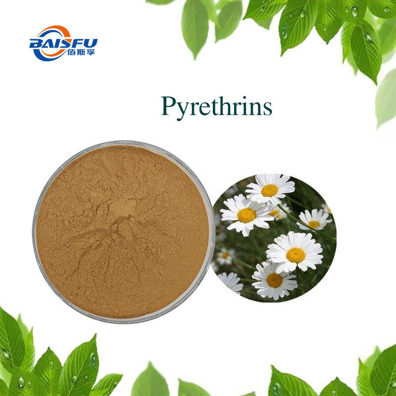 Baisifu Professional Supply Pyrethrum Extract Pyrethrum Pyrethrin Pyrethrins 1% Cas: 8003-34-7 Brown Powder For Biocide