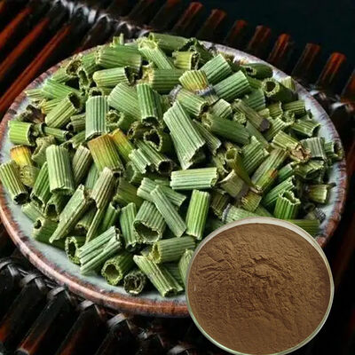 Baisfu natural Common Scouring Rush Herb Extract high quality brown yellow fine powder For medicine and Health supplements